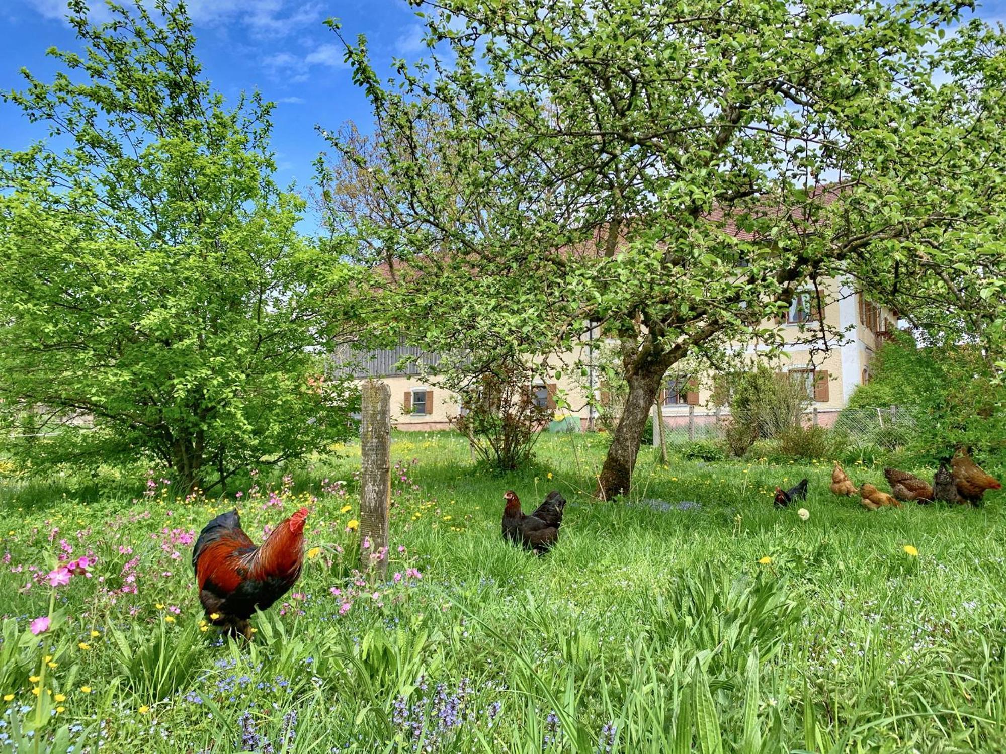 Vila Bauernhof Geigerhof Aschau im Chiemgau Exteriér fotografie